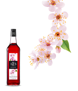 Сироп 1883 Цветок вишни (Cherry Blossom)